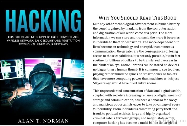 Book cover and review of Beginners Guide on How to Hack Wireless Network